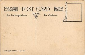 Cat Cats, Kitten Unused 