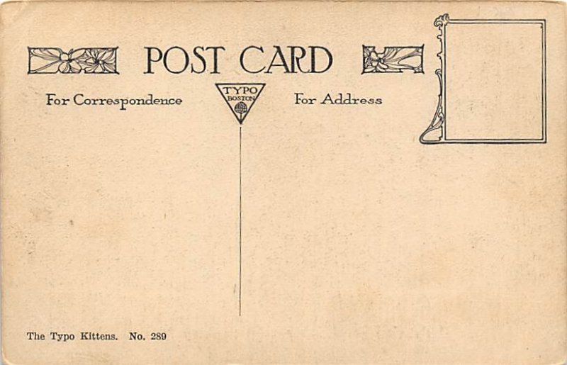 Cat Cats, Kitten Unused 