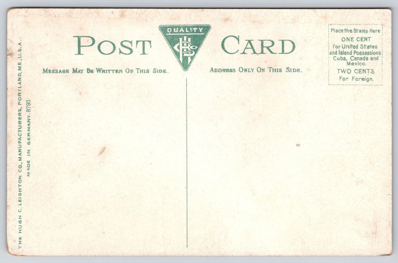 Kalamazoo Michigan~Burdick St North View~Post Office~USA Flag~Victorian~c1910 PC