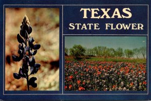 Texa State Flower Bluebonnets 1978