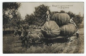 RPPC, Pumpkins Grown on Our Soil are Profitable, 1912