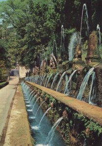 Italy Postcard - Tivoli - Avenue of The Hundred Fountains  RR7911