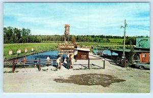 INDIAN RIVER, Michigan MI ~ Fishing IMPERIAL TROUT FARM c1960s Roadside Postcard