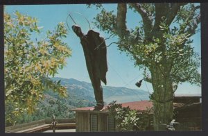 CA BIG SUR The Dark Angel a Redwood-and-Mosaic Sculpture The Phoenix ~ Chrome