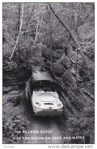 RP; In REDBIRD GORGE, Wisconsin; Ride he Ducks on Land and Water, 1950s