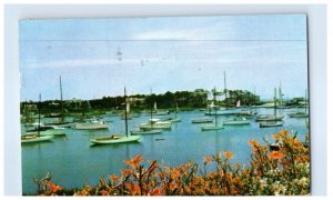 Sail Boats In The Harbor Massachusetts Postcard Posted