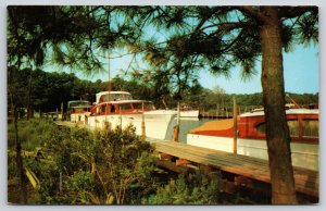 Rehoboth Beach Delaware~Boats Dock Scene @ Henlopen Yacht Basin~1950s Postcard