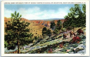 Looking Down Into South Fork Of Double Canyon In Guadalupe Mountains, New Mexico