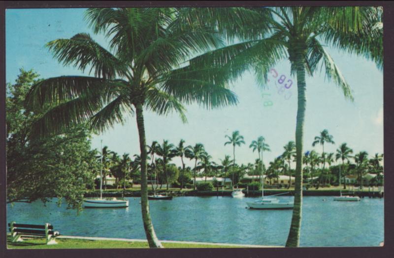 Florida Scene Postcard BIN