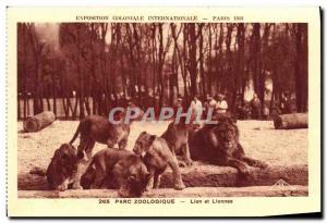 Old Postcard Exposition Coloniale Internationale Paris 1931 Zoo Zoo lion and ...