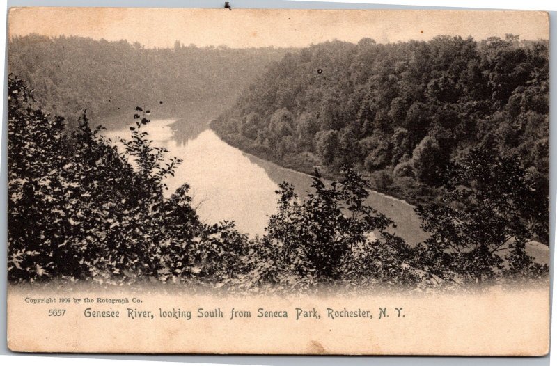 Postcards NY Rochester Rotograph Genesse River looking south from Seneca Park