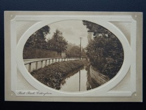 East Riding of Yorkshire COTTINGHAM Beck Bank - Old Postcard