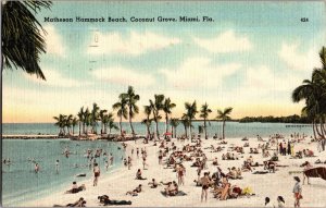 Matheson Hammock Beach, Coconut Grove, Miami FL c1949 Vintage Postcard L76