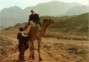 CPM EGYPTE Beduin on Camel (344016)