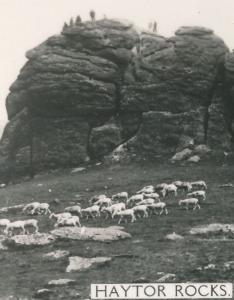 RPPC Greetings from Dartmoor, Devon, England, United Kingdom