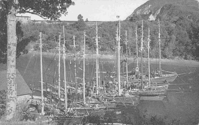 Swordfish Fishing Sailing Ships Ingonish Cape Breton Nova Scotia Canada postcard