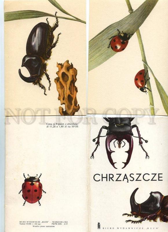 128936 BUGS Lady-Bird BEETLE Collection SET 9 PCs 1965