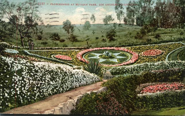 Flower Beds at Elysian Park - Los Angeles CA, California - pm 1910 - DB