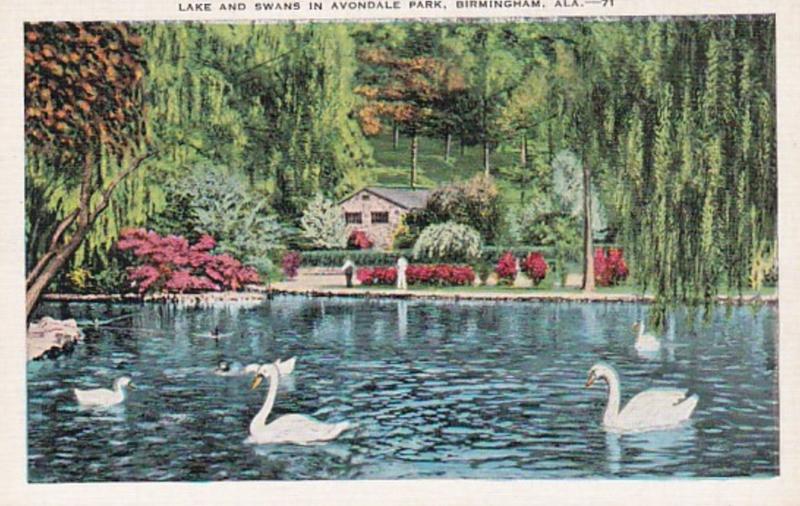 Alabama Birmingham Lake and Swans In Avondale Park