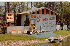 Biloxi Mississippi Deer Ranch Duck Caudeville Vintage Postcard K39265