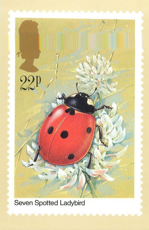 British stamp on Postcard Insects Seven Spotted Ladybird by Gordon Beningfield