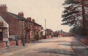 Lucky Black Cat Outside Shop At Carthorpe Yorkshire Vintage Postcard