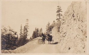 Western Colorado Horse and Buggy Real Photo