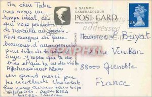 Modern Postcard The Royal Pavilion Brighton