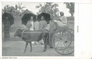 Colombo Ceylon (Sri Lanka) Bullock Race Cart ox & man antique pc (Y8754)