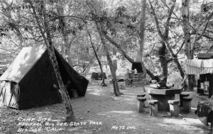 RPPC Pfeiffer Big Sur State Park California Camping 1953 Laws Photo Postcard