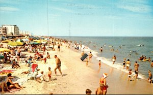 Delaware Rehoboth Beach Looking North