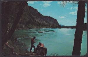 Gibson's River Delta Resort,Clark Fall,ID Postcard BIN