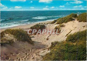 Modern Postcard Dunes Belgium