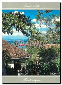 The Modern Postcard Martinique Three carnations