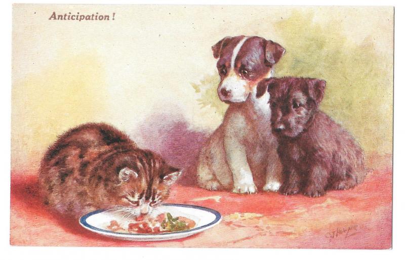 Anticipation Puppies Kitten Food CT Howard Artist Signed Vintage Salmon Postcard