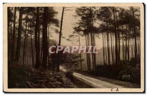 Old Postcard Landes de Gascogne Road Leon Moliets