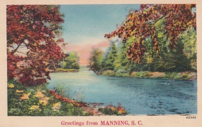 South Carolina Greetings From Manning
