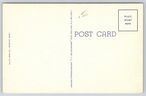 Mankato Minnesota~Confluence Of Blue Earth River~Panorama View~Linen Postcard