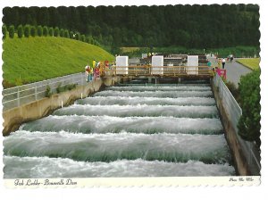 Fish Ladder Bonneville Dam Columbia River Washington 1969 4 by 6