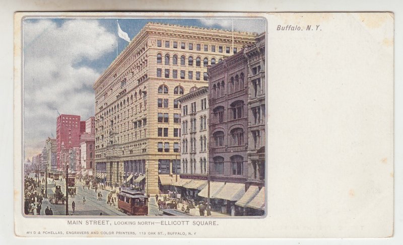 P2348 old postcard main street scene busy buffalo new york