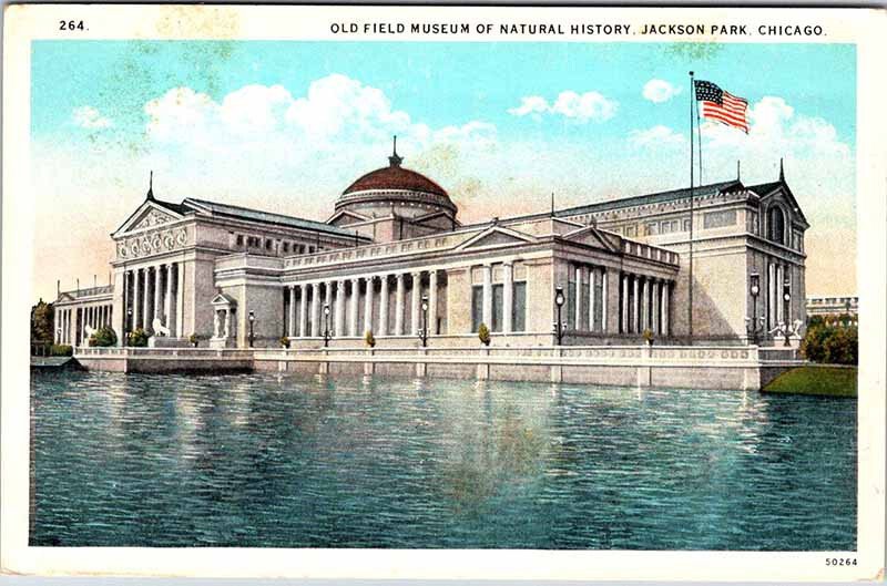 Postcard MUSEUM SCENE Chicago Illinois IL AO2446