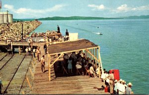 Alabama Guntersville Watching The Annual Boat Races