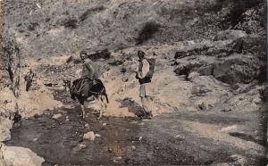 BG19325 real photo types folklore costumes donkey albania