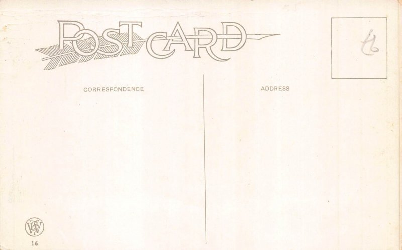 Thanksgiving Greeting Turkey Poultry Corn Forest postcard B989