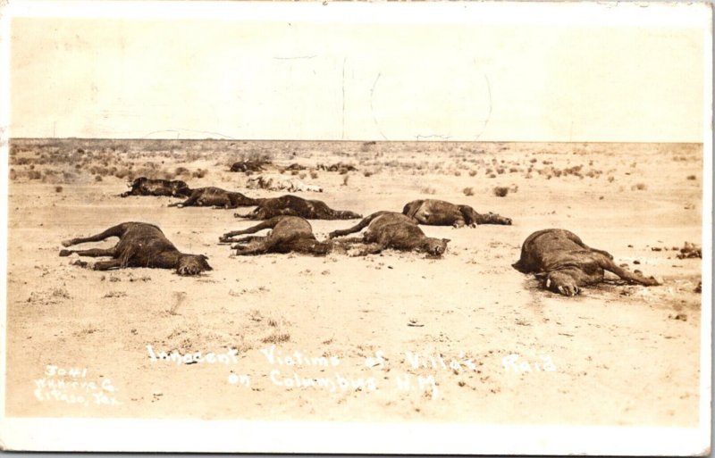 Horses Innocent Victims Of Villa's Raid On Columbus New Mexico 1918 Real...