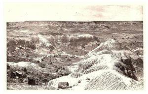 RPPC Postcard Arizona  Forest within the Painted Desert