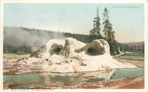 C-1910 Grotto Geyser Yellowstone Park Wyoming Phostint Detroit Publishing 8321