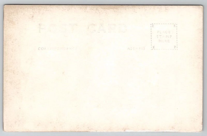 Black Hills SD Rough Lock Falls RPPC Bell Photo Postcard V21