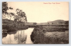 Nuwara Eliya Trout Stream, Sri Lanka, Ceylon Vintage Postcard P8