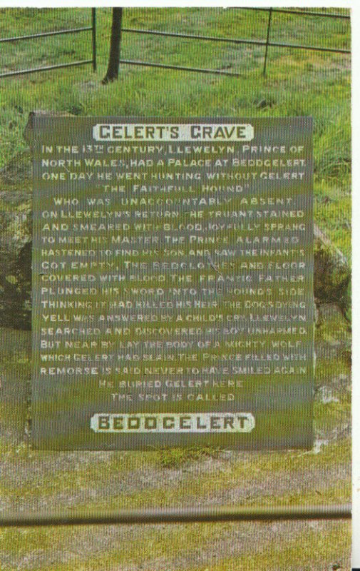 Wales Postcard - Gelert's Grave - Beddgelert - Caernarvonshire - Ref TZ9091